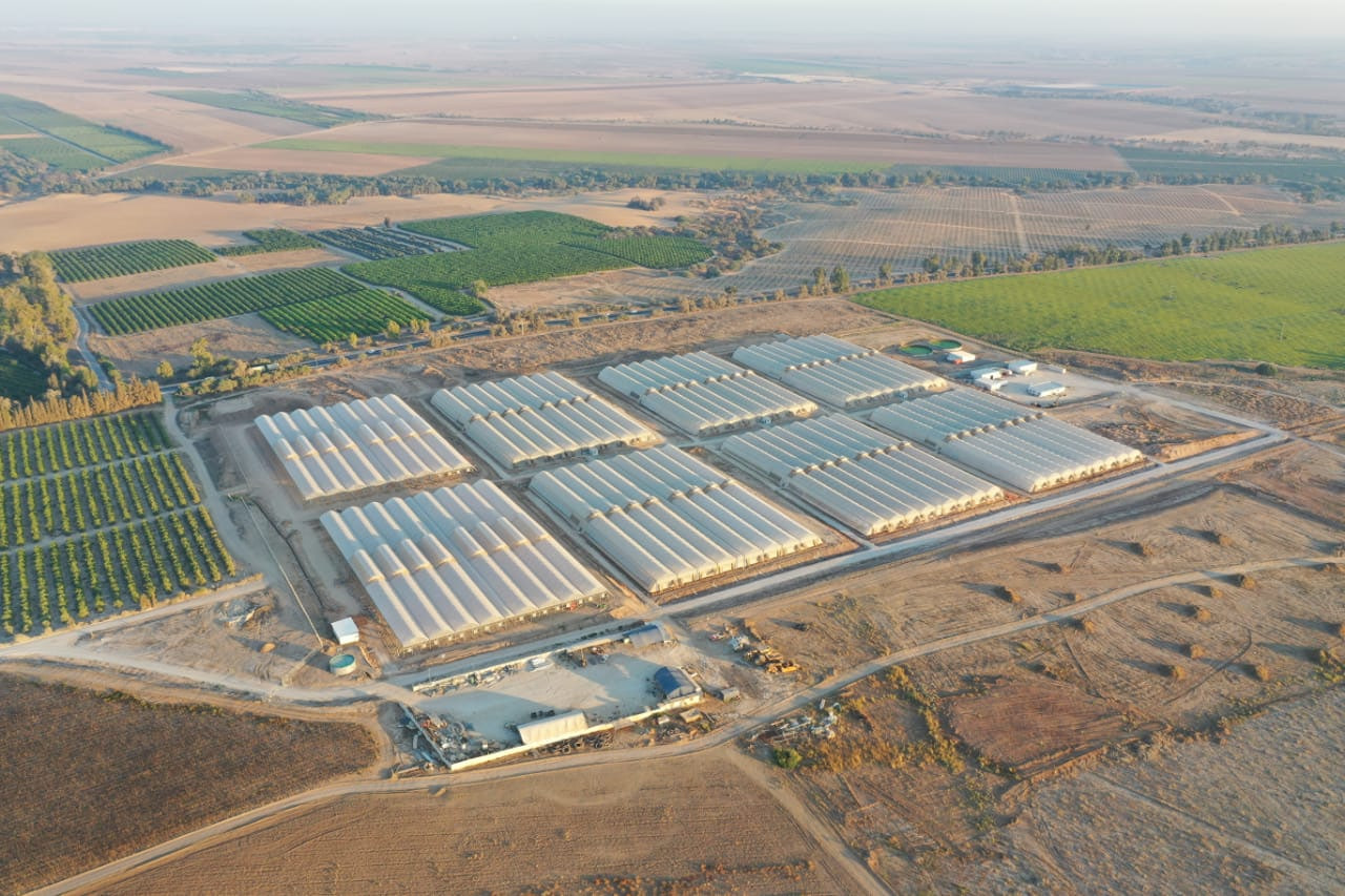 مقالة علمية للتدريسية م.م زينب ناظم عزيز  بعنوان " الزراعة العضوية: فوائدها والتحديات التي تواجهها"