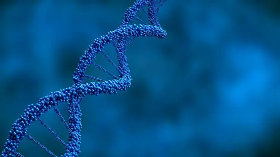 مقالة علمية للانسة نور الهدى عزمي بعنوان "كيف تؤثر التغيرات في الجينات على الكائنات الحية"