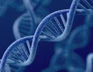 مقالة علمية للتدريسي (م.م. عبدالواحد محسن ) بعنوان""أهمية ادخال بيانات التسلسل الجينومي للعزلات المحلية الميكروبية في بنك الجينات العالمي""