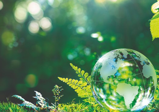 الاستدامة البيئية: التحديات والحلول لتحقيق مستقبل أخضر