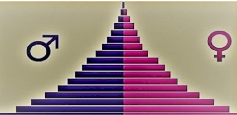 مقالة علمية ل( م.م سجى جواد عبيد) بعنوان""التركيب العمري للسكان""