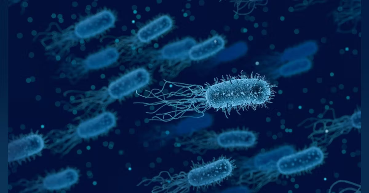 مقالة علمية للتدريسي م.م علي كميت حمد  بعنوان " دور البكتيريا في الحياة اليومية "