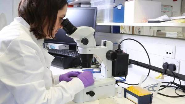 انجاز علمي باستخدام الفايروسات لعلاج السرطان مقالة علمية للمعيدة افراح جهاد