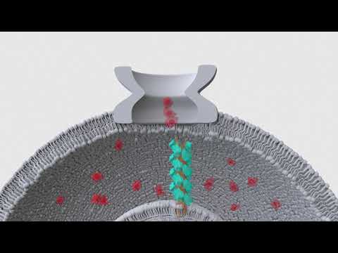 مقال بعنوان:"التصميم بالخامات النانوية وطرق الاستدامة الحديثة"للتدريسي الدكتور اسرار عباس سمندر