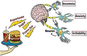 Impact of diet on learning, memory and cognition