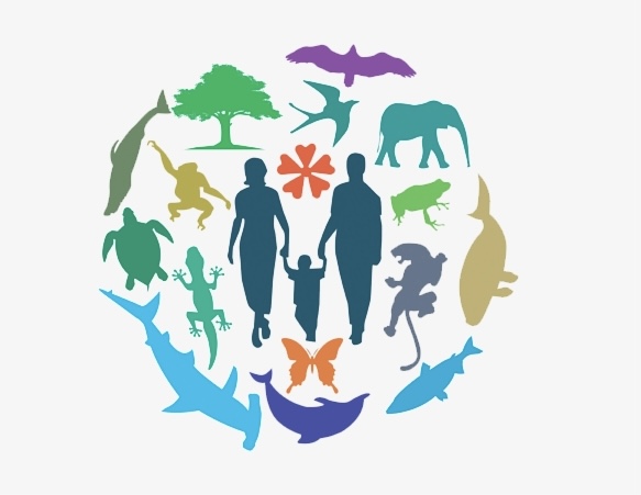 مقالة علمية للتدريسية (م.م ضحى عبد الأمير محمد) بعنوان " تنوع الأحياء "