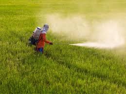 أضرار المواد الكيميائية على المحاصيل الزراعية 