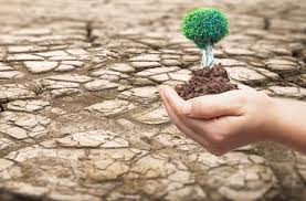 مكافحة التصحّر وتعزيز إدارة الأراضي على نحو مستدام