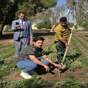 حملة تشجير لقسم ادارة الاعمال