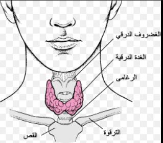مقالة علمية للتدريسي م.م مهيمن سمير عارف بعنون (أمراض الغدة الدرقية وتأثيرها على العين)