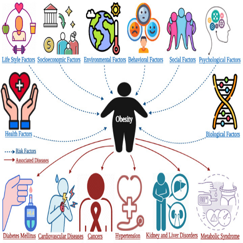 Obesity, its causes and risk factors