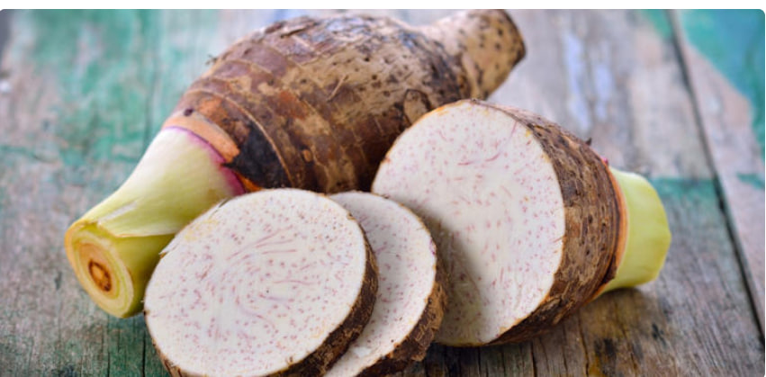 مقالة علمية ل( هبه صلاح هادي ) بعنوان "" القلقاس ""