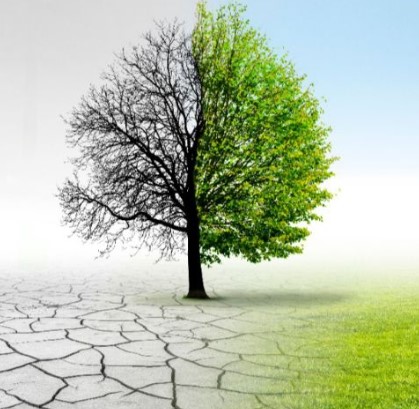 الطمر الصحي 