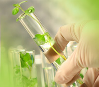 مقاله علمية للتدريسية م.م فاطمة باسم ياسين بعنوان ((الوضع الحالي للعلاقة بين الكيمياء والبيئة ))