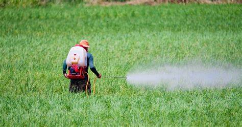 مقالة علمية للانسة نور الهدى عزمي بعنوان "تدابير الأمن البيولوجي في الزراعة: حماية المحاصيل من الأمراض والآفات البيولوجية "