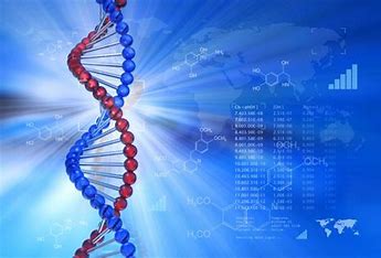 تحليل البيانات الجينية لتحسين فهم الأمراض الوراثية(أهيب هاشم كريم)