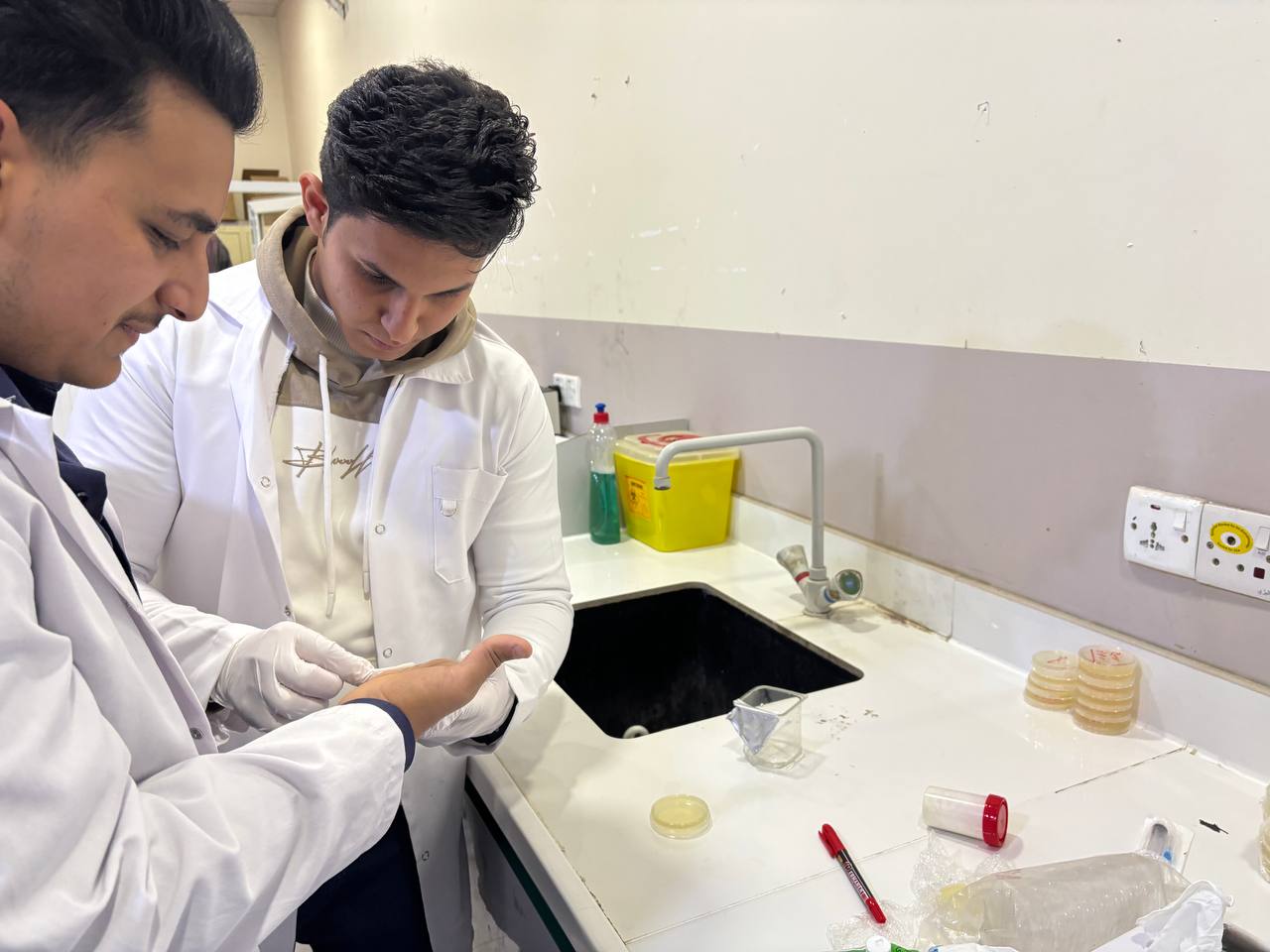 ورشة علمية حول كيفية عمل المسحة المايكروبية 