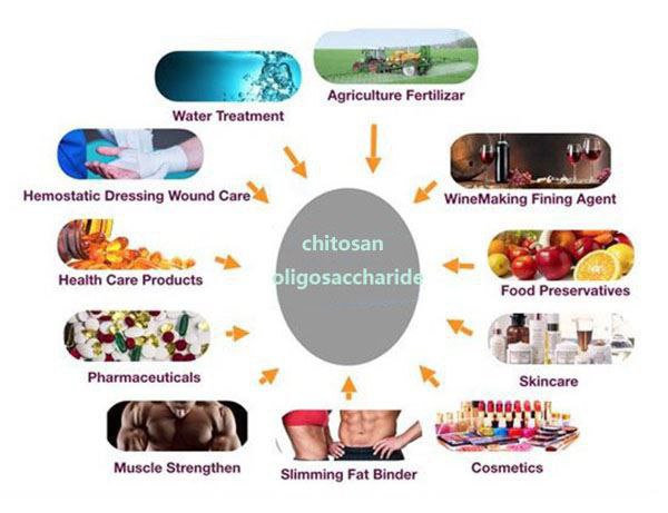 مقالة علمية للدكتور (م.د.كرار مجيد ) بعنوان الكيتوسان (chitosan)