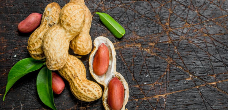 مقالة علمية للتدريسية ( م.م أمنة شاكر شهد) بعنوان"" فول السوداني""