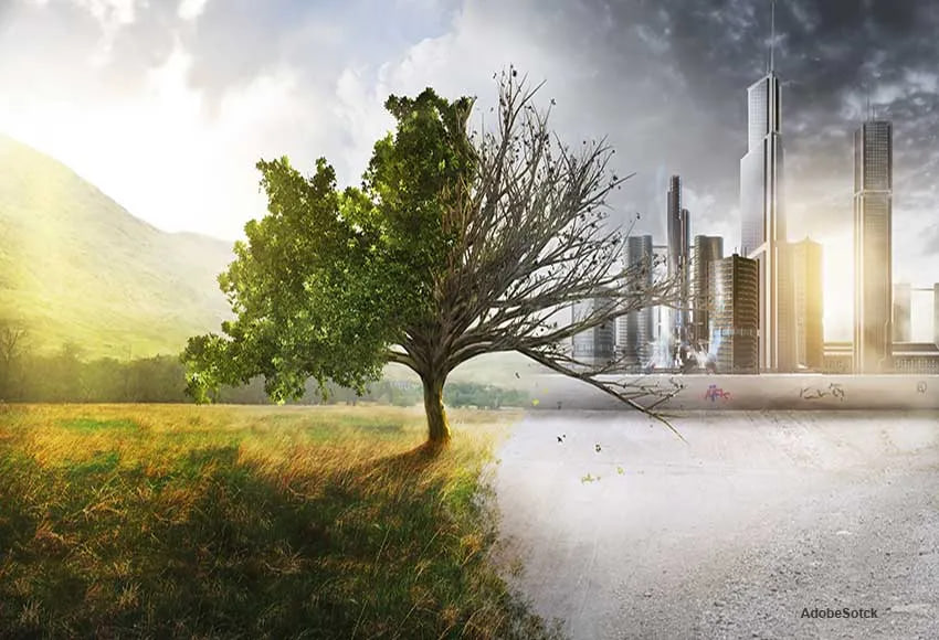 مقالة علمية للانسة نور الهدى عزمي بعنوان " تحليل الاستجابة البيئية للمجاميع النباتية: تأثيرات الأنشطة البشرية والتغيرات المناخية"