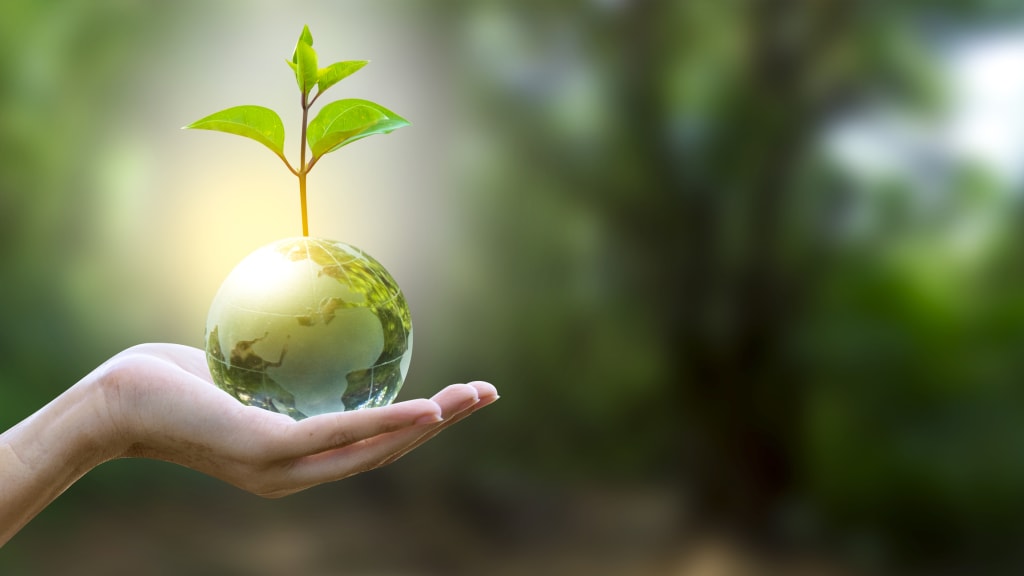 مقالة علمية للانسة نور الهدى عزمي بعنوان "استجابات النباتات للإجهاد: الآليات والتكيفات مع التحديات البيئية. "