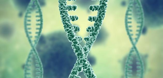 مقالة علمية للانسة نور الهدى عزمي بعنوان "استكشاف تفاعلات النباتات مع الميكروبات: العلاقات المفيدة والضارة. "