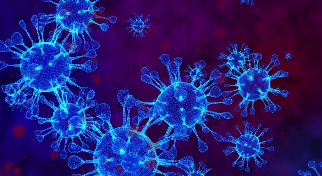 مقالة علمية للانسة نور الهدى عزمي بعنوان "البكتيريا في الطب البيطري: حماية الحيوانات من الأمراض المعدية"