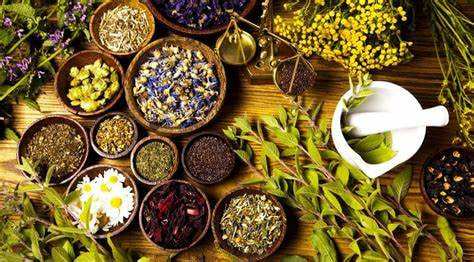 مقالة علمية للتدرسية م.م زهراء جواد كاظم بعنوان "أهمية النباتات الطبية في العلاج الحديث"