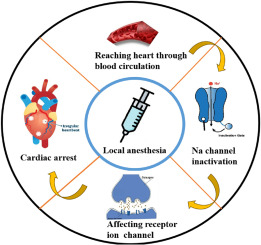 Anesthesia and Heart Failure: A Delicate Balance