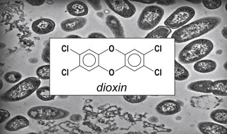 الدايوكسين ومخاطره