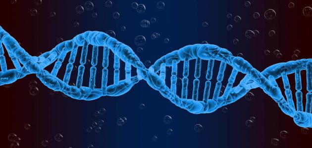 مقالة علمية للسيدة ( نور الهدى عزمي حسن ) بعنوان الطفرة الوراثية 