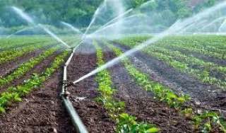 دارة المياه في الزراعة  ودور الهندسة الكيميائية في تحسين كفاءة استخدام المواد المائية.