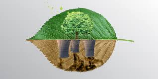 التلوث البيئي انواعه و مصادره و سبل المكافحة