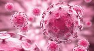 مقالة علمية بعنوان "الفيروسات "للطالبة (اية علي محيسن) - كلية العلوم - قسم علوم الفيزياء الطبية - المرحلة الثانية -وباشراف الاستاذ (م.م جعفر حامد جعفر)