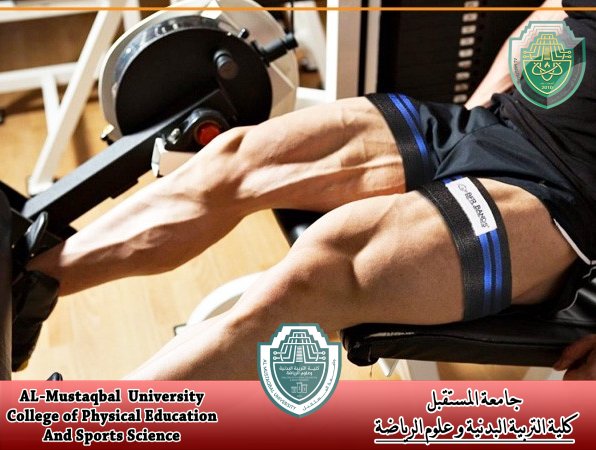 مقالة للاستاذ الدكتور  (  جمال صبري فرج ) حول " تدفق الدم في العضلات الهيكلية وتمرينات التحمل "