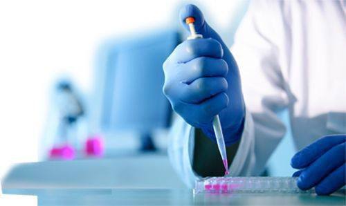 مقالة علمية للسيدة نور الهدى عزمي حسن بعنوان  البيولوجيا الجزيئية