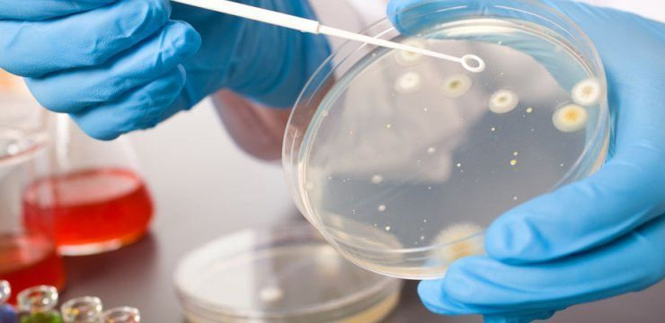 مقالة علمية للسيدة نور الهدى عزمي حسن بعنوان علم الاحياء الدقيقة