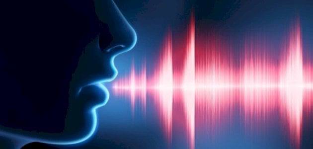 مقالة علمية بعنوان " علم  الاصوات اللغوي وفروعة " للتدريسية (م.م شجن احمد فرحان )