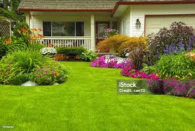 Cultivating Joy: The Importance of House Gardens