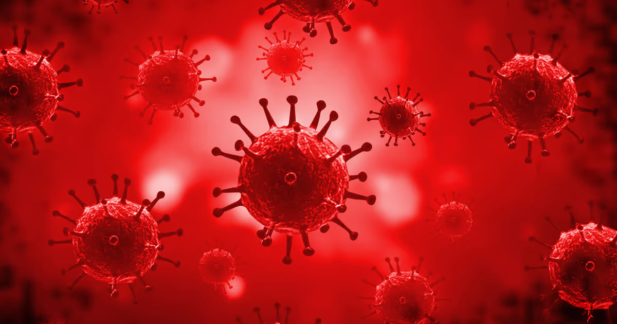 مقالة علمية للانسة نور الهدى عزمي حسن بعنوان " بكتيريا الدم "