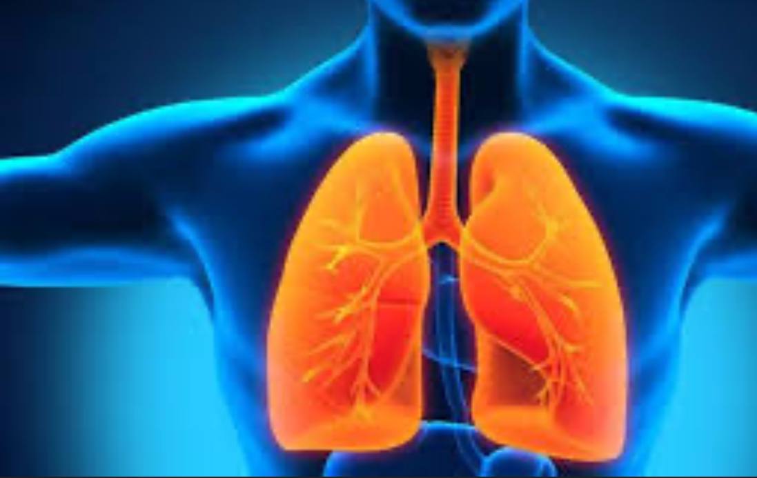 مقالة علمية بعنوان " تنظيف الرئتين من النيكوتين " للست ( رقية صالح مهدي ) في جامعة المستقبل - كلية العلوم - قسم علوم الفيزياء الطبية