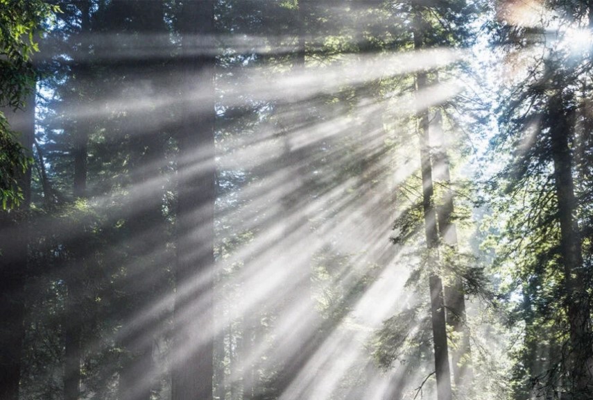 مقالة علمية للانسة نور الهدى عزمي بعنوان "ultraviolet radiation "