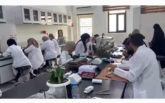 Continuation of the first stage