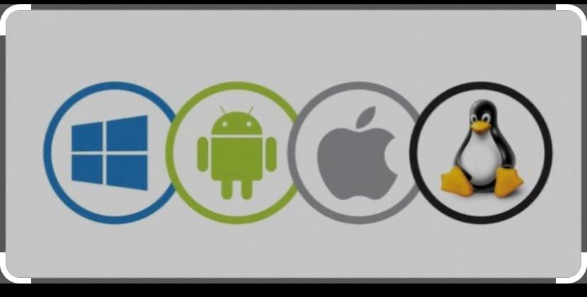 أثر استخدام الرقابة الداخلية في ظل نظام التشغيل  األلكتروني