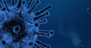 مقالة علمية للانسة نور الهدى عزمي حسن بعنوان " علم الفيروسات VIROLOGY"