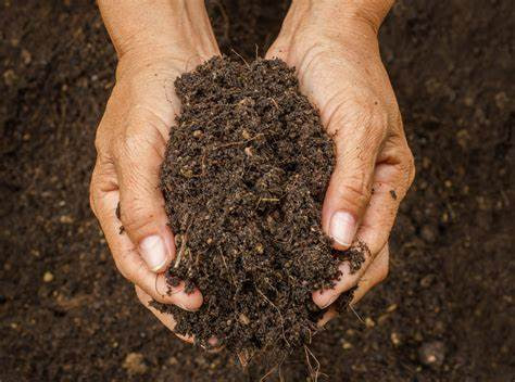 ..Causes of soil pollution and its manifestations