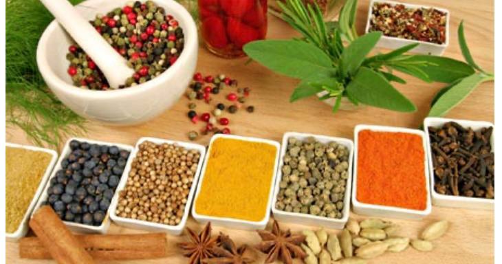 مقالة علمية ل ( أ.د. هدى جاسم محمد )  بعنوان “"الاعشاب الطبية بين شكوك الاطباء ويقين العشابين