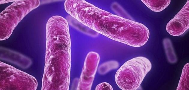 مقالة علمية للتدريسية (ا.م.د اصيل هاشم راضي ) بعنوان "فوائد وأضرار البكتريا"