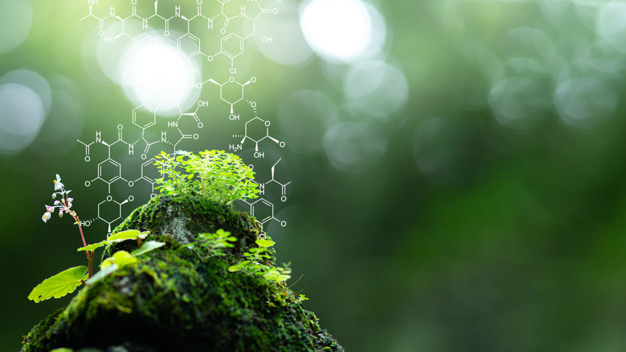 مقالة علمية للانسة نور الهدى عزمي حسن بعنوان "بيولوجيا الحفظ Conservation biology "