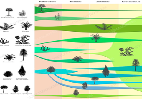 Behavioral evolution of plants " التطور السلوكي للنباتات "